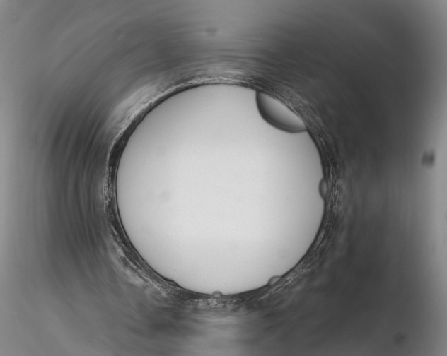 X0000115600338200912011531