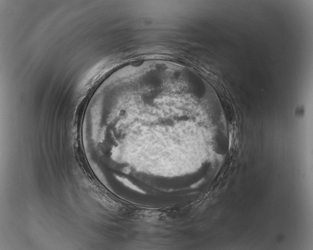 X0000115600339200912011531