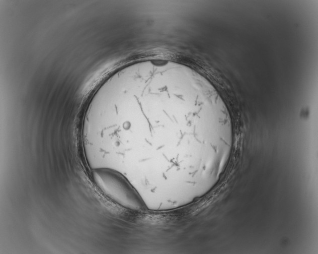 X0000115600341200912011532