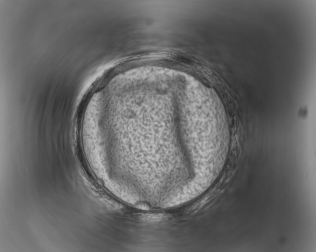 X0000115600342200912011532