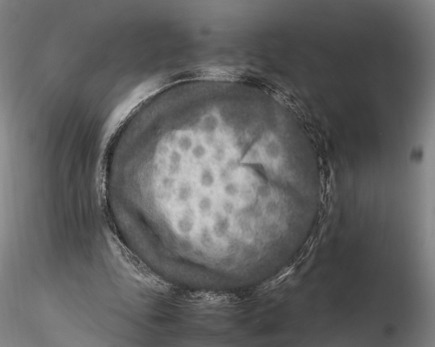 X0000115600343200912011532