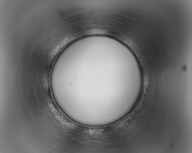 X0000115600345200912011532