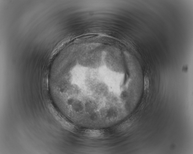 X0000115600349200912011532