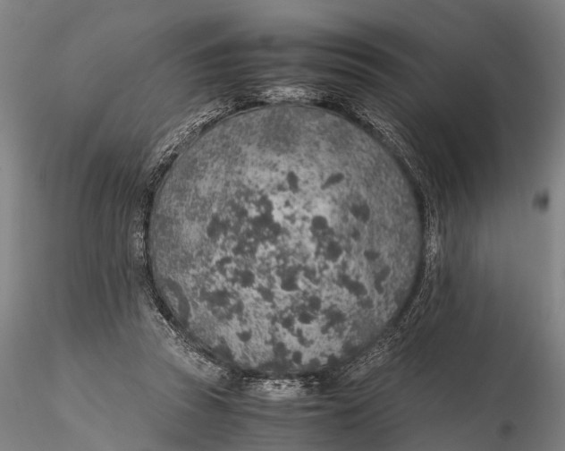 X0000115600353200912011532