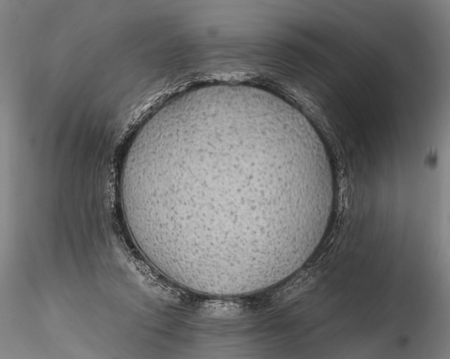 X0000115600354200912011532