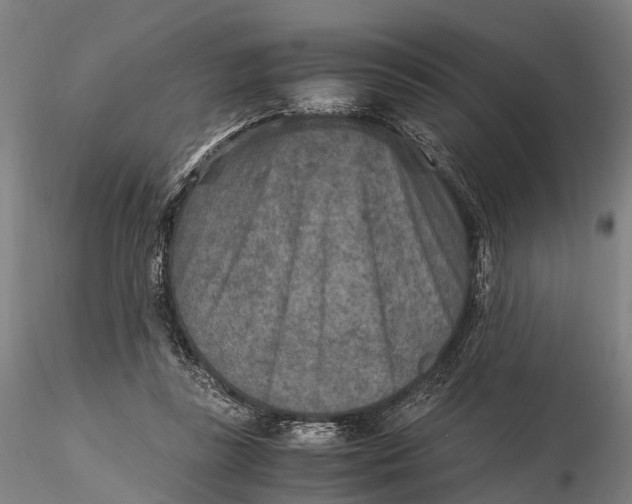 X0000115600355200912011532