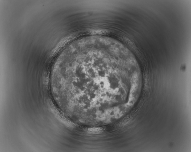 X0000115600357200912011532