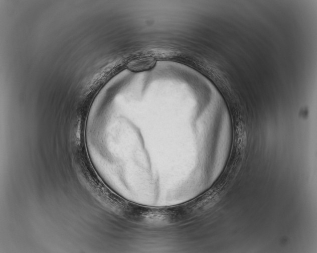 X0000115600358200912011532