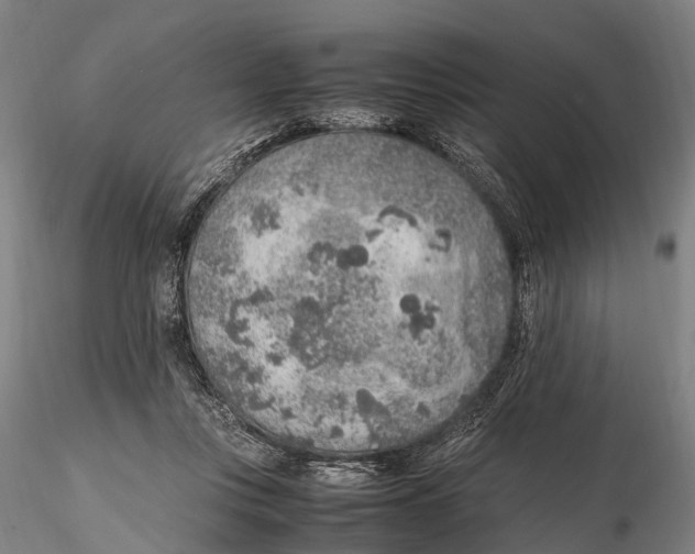 X0000115600359200912011532