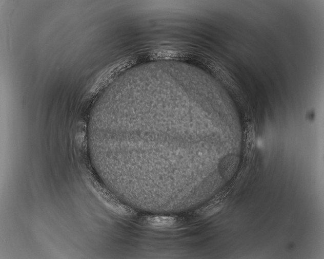 X0000115600361200912011532