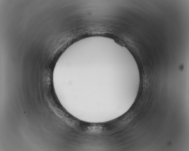 X0000115600362200912011532