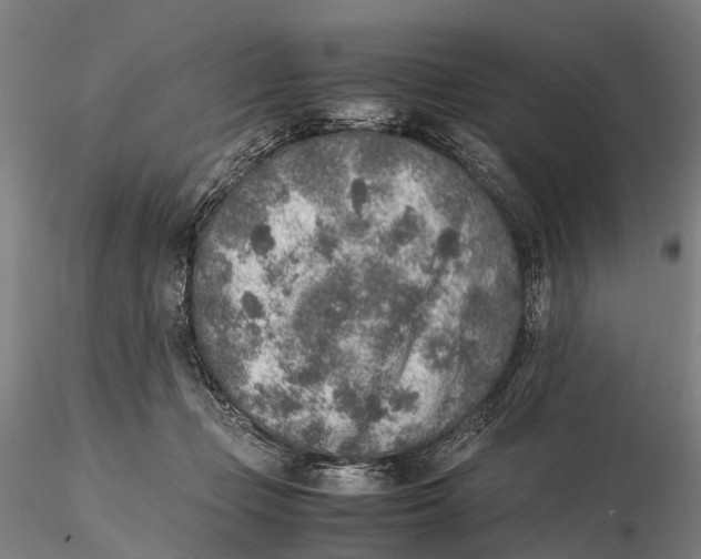 X0000115600365200912011532