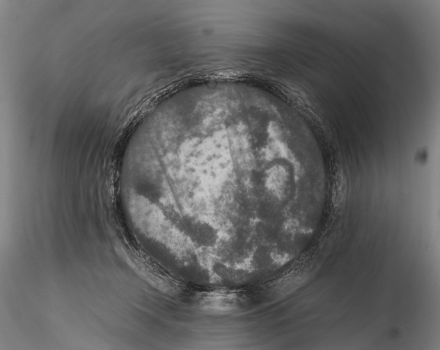 X0000115600366200912011532