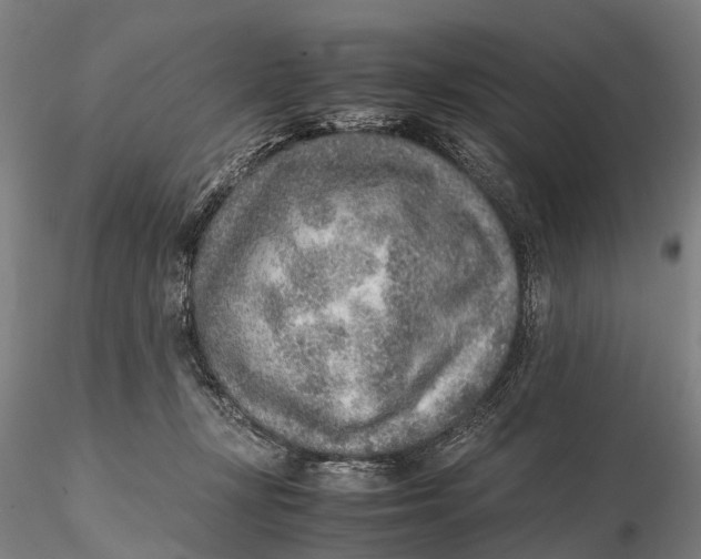 X0000115600367200912011532