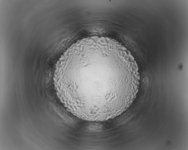 X0000115600369200912011532