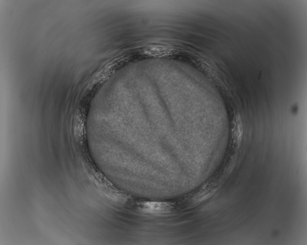 X0000115600371200912011532