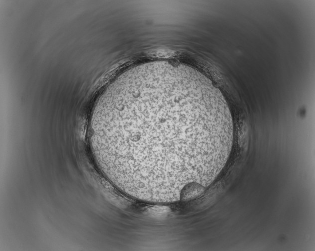 X0000115600374200912011532