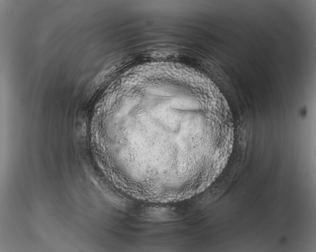 X0000115600375200912011532