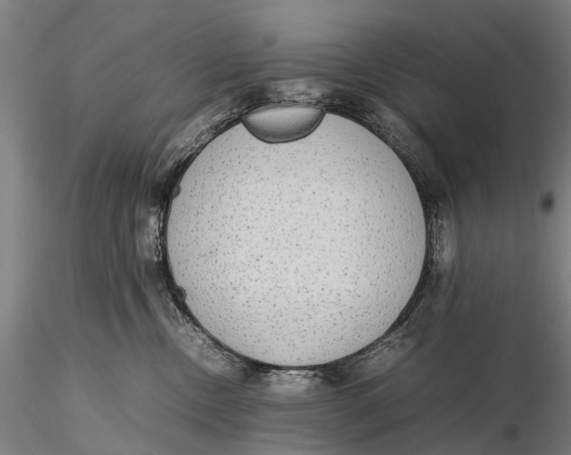 X0000115600378200912011532