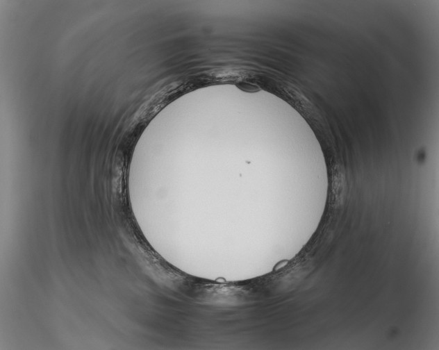 X0000115600379200912011532