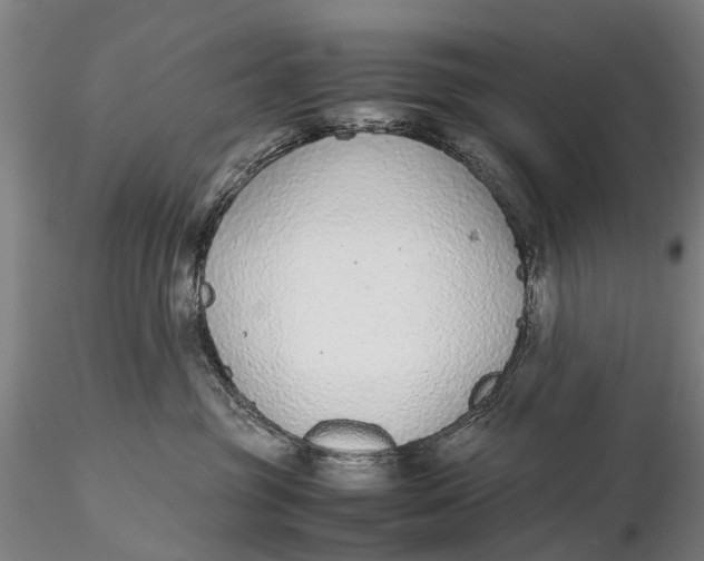 X0000115600381200912011532