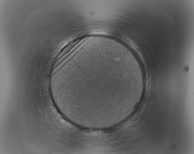 X0000115600385200912011531