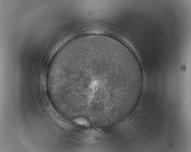 X0000115600386200912011531