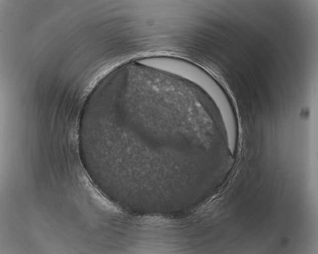 X0000115600389200912011531