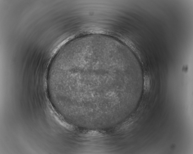 X0000115600390200912011531