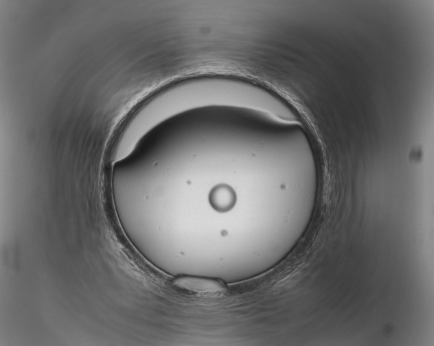 X0000115600391200912011531