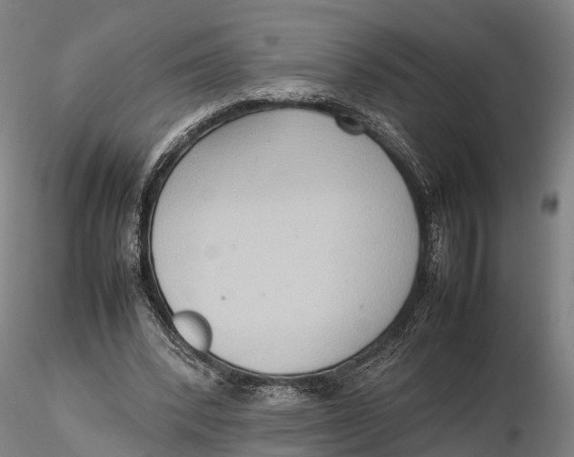 X0000115600392200912011531