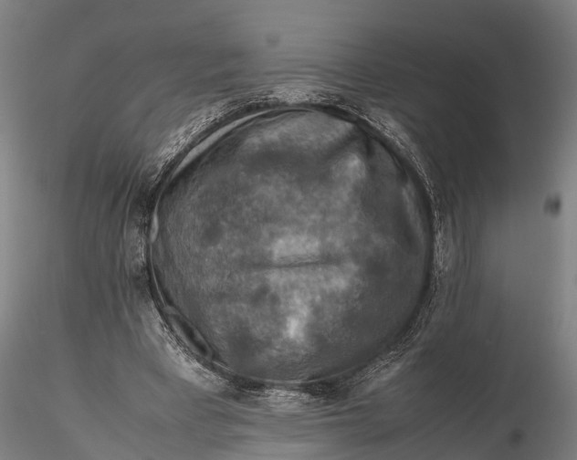 X0000115600393200912011531