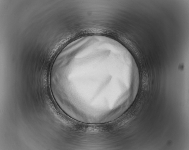 X0000115600394200912011531