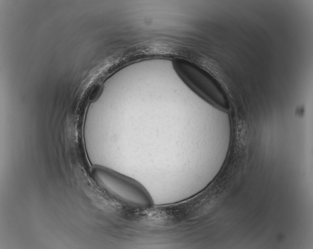 X0000115600395200912011531