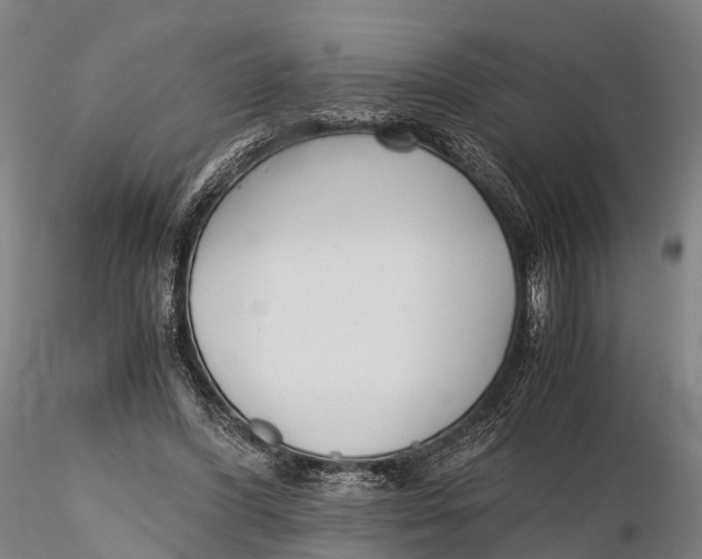 X0000115600396200912011531