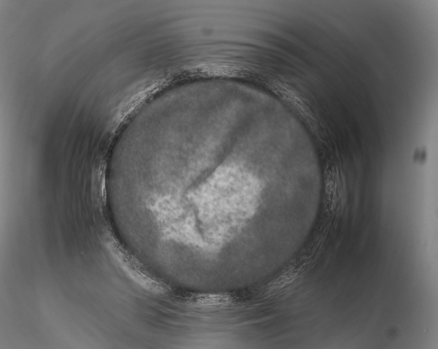 X0000115600398200912011531