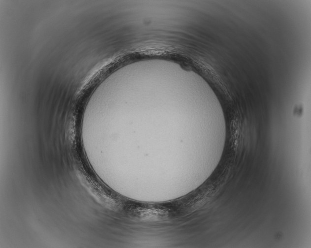 X0000115600400200912011531