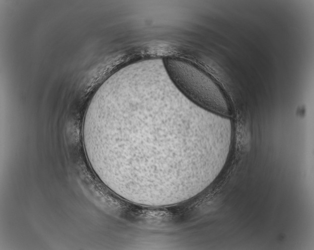 X0000115600401200912011531