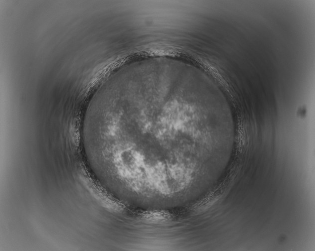 X0000115600402200912011531