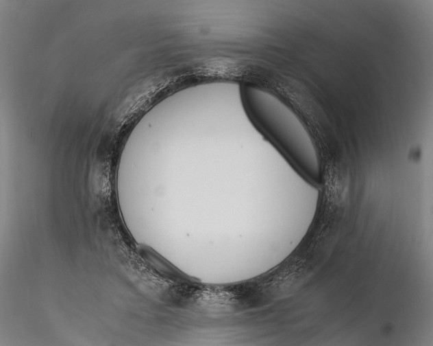 X0000115600403200912011531