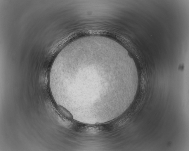 X0000115600405200912011531