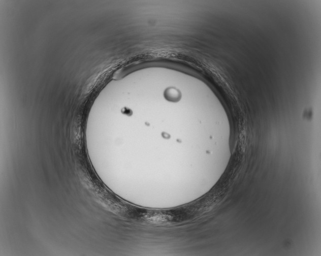 X0000115600407200912011531