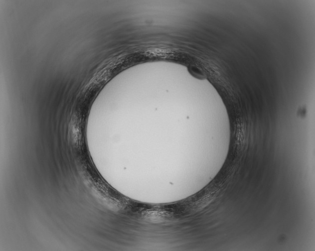 X0000115600408200912011531