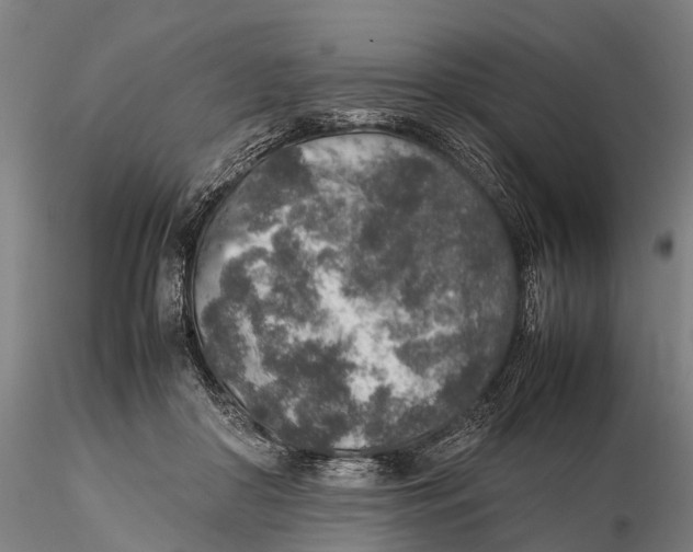 X0000115600410200912011531