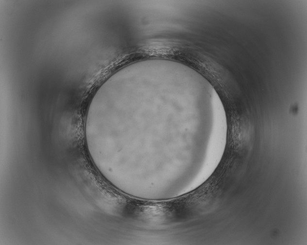 X0000115600411200912011531