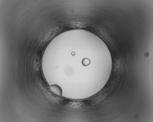 X0000115600414200912011531