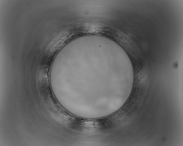 X0000115600415200912011531