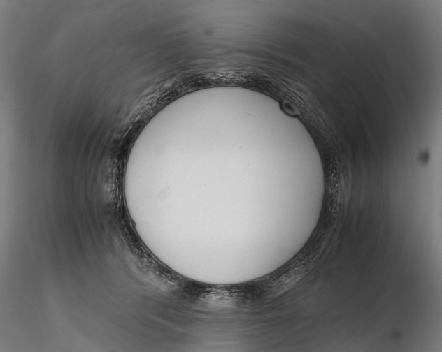 X0000115600416200912011531