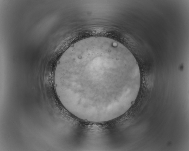 X0000115600419200912011531