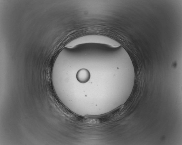 X0000115600421200912011531